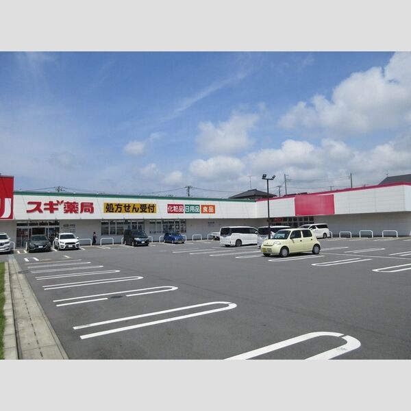 現地周辺 (スギ薬局ダイソー)