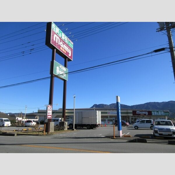 現地周辺 (業務スーパーマミー)