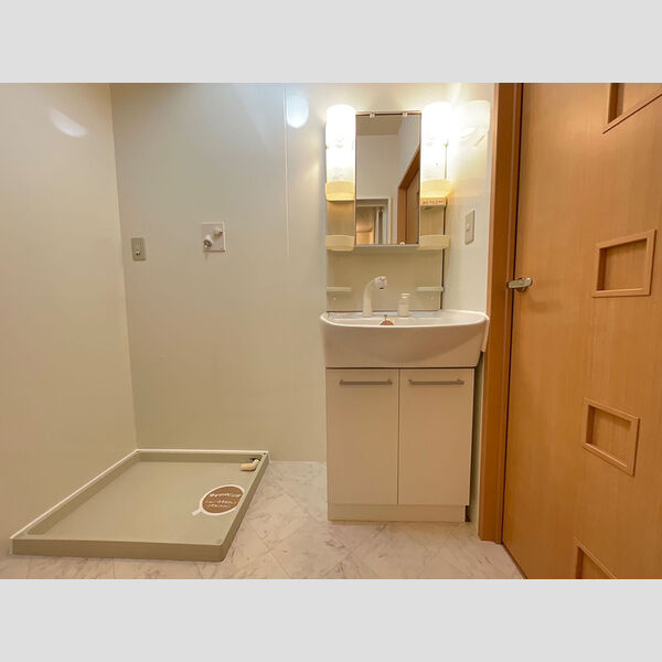 洗面所 (洗髪洗面化粧台)