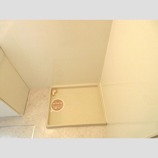 その他 (室内洗濯機置き場)