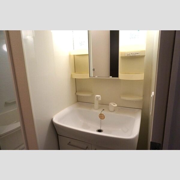 洗面所 (洗髪洗面化粧台)