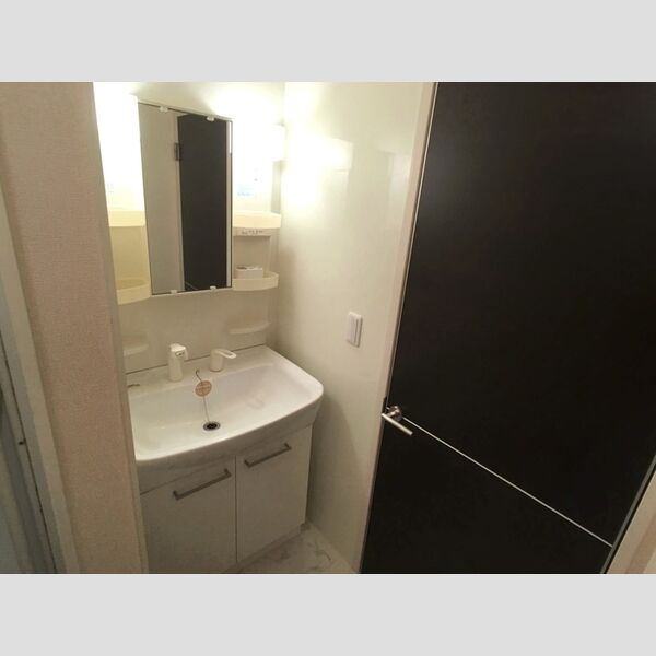 洗面所 (洗髪洗面化粧台)