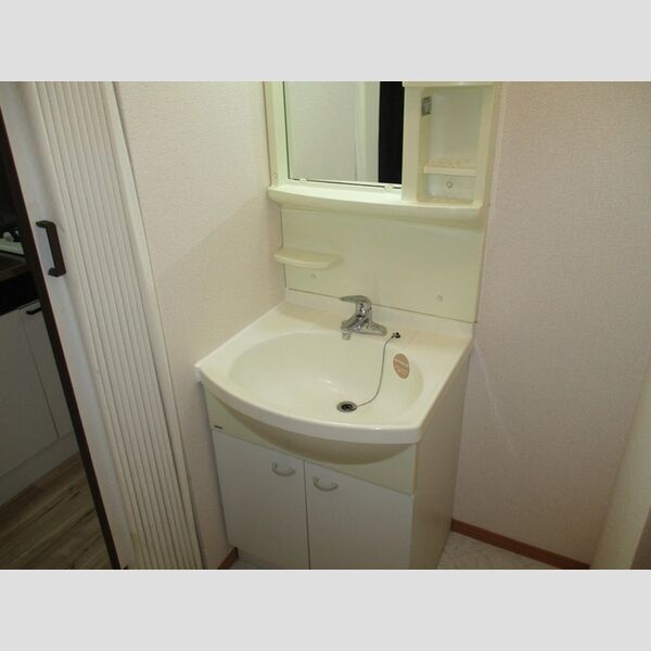 洗面所 (洗髪洗面化粧台)