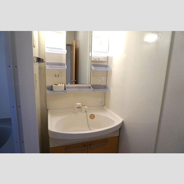 洗面所 (洗髪洗面化粧台)