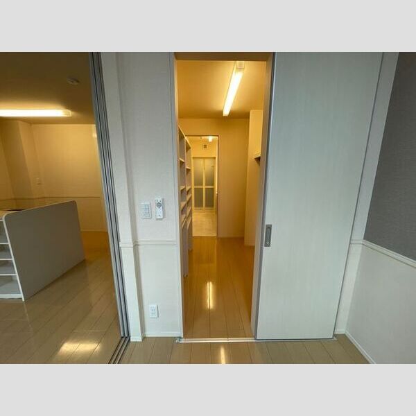 その他 (ウォークスルークローゼット)