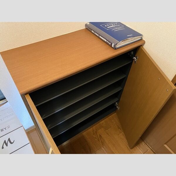 その他 (シューズボックス(カウンタータイプ))