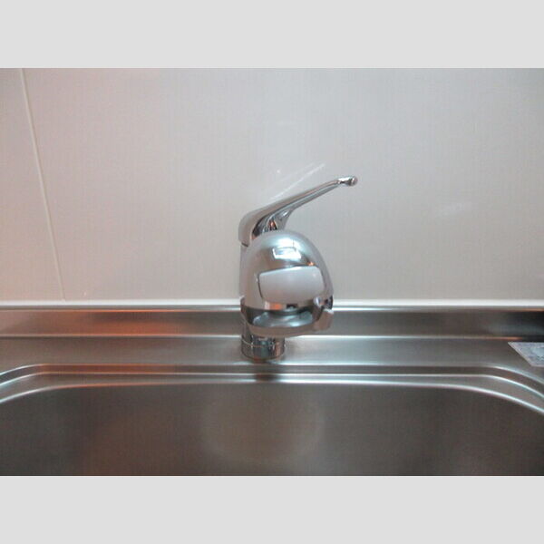 その他 (浄水器対応水栓)