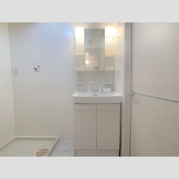 洗面所 (洗髪洗面化粧台)