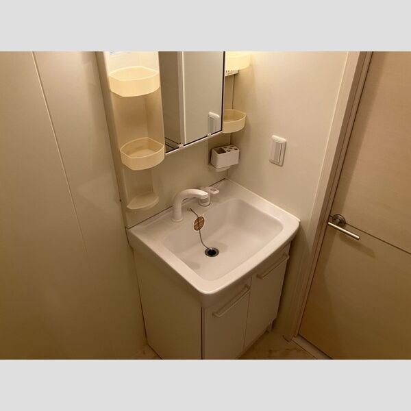 洗面所 (洗髪洗面化粧台)