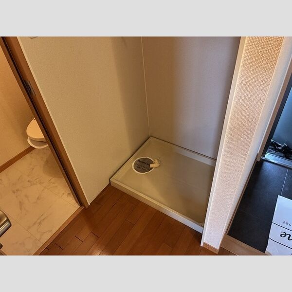 その他 (室内洗濯機置き場)