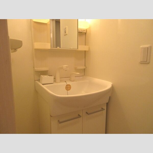 洗面所 (洗髪洗面化粧台)