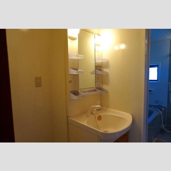 洗面所 (洗髪洗面化粧台)