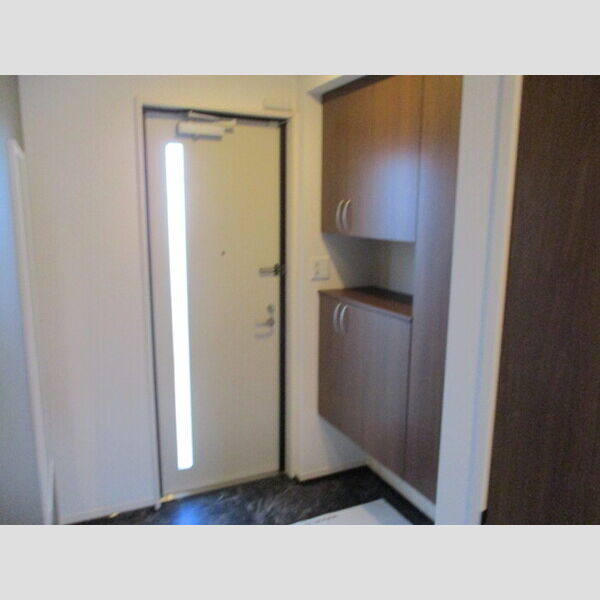 収納 (シューズボックス)