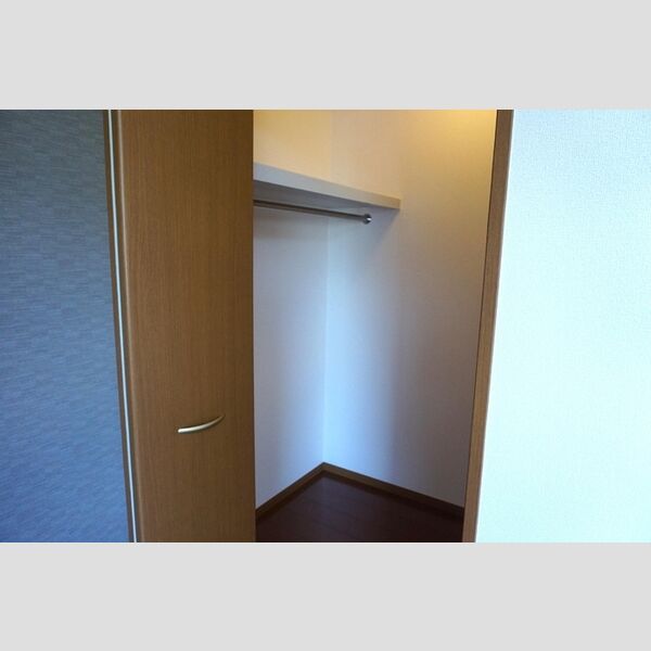 収納 (ウォークインクローゼット)