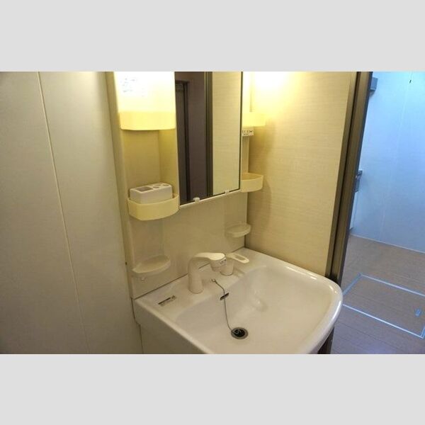 洗面所 (洗髪洗面化粧台)