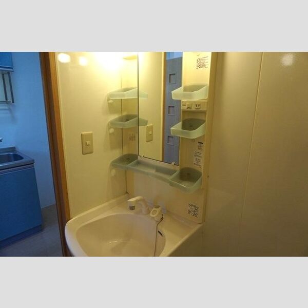 洗面所 (洗髪洗面化粧台)