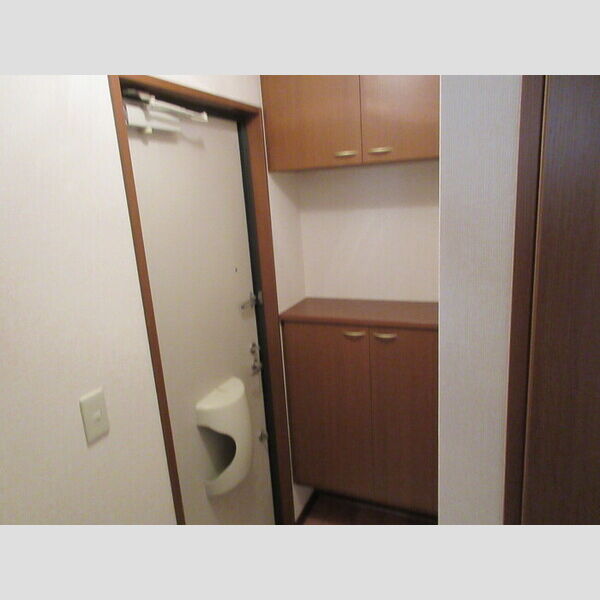 玄関 (シューズボックス)