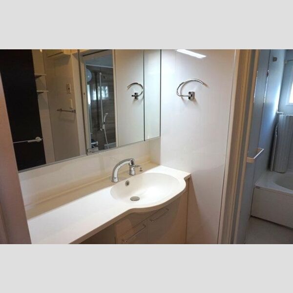 洗面所 (洗髪洗面化粧台)