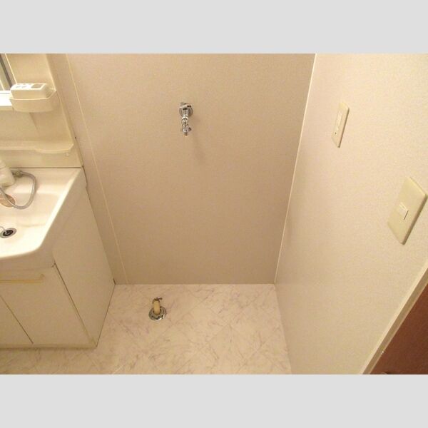 その他 (室内洗濯機置き場)