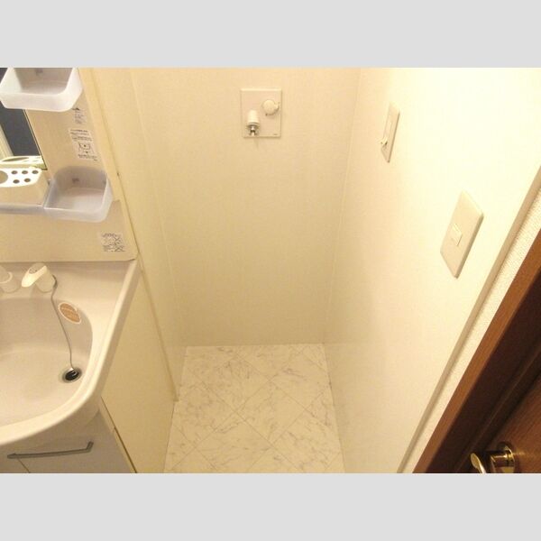 その他 (室内洗濯機置き場)