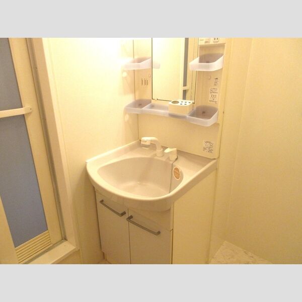 洗面所 (洗髪洗面化粧台)