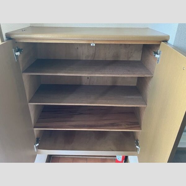 その他 (シューズボックスカウンタータイプ)