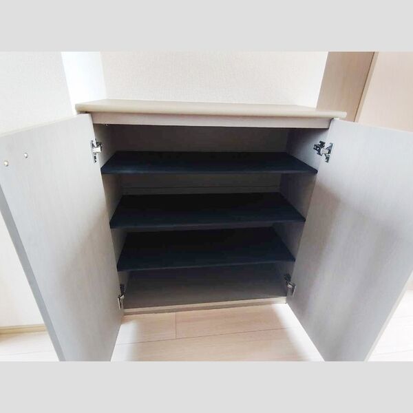 玄関 (シューズボックス(カウンタータイプ))