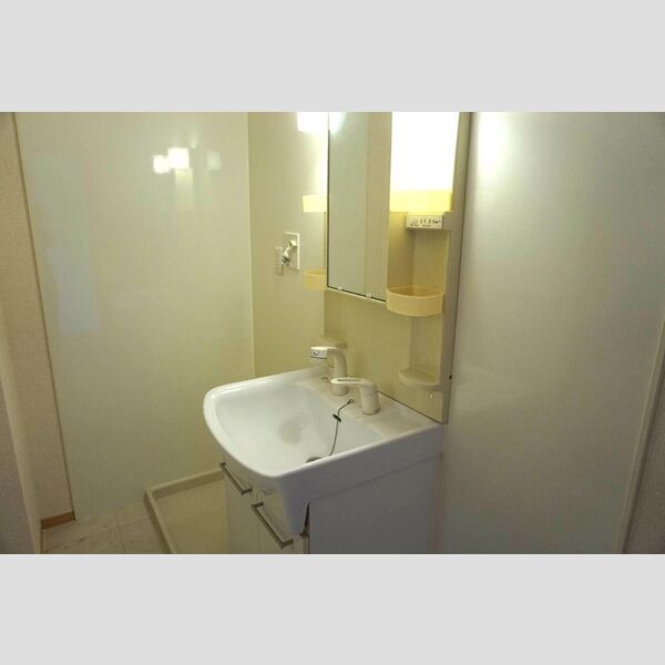 洗面所 (洗髪洗面化粧台)