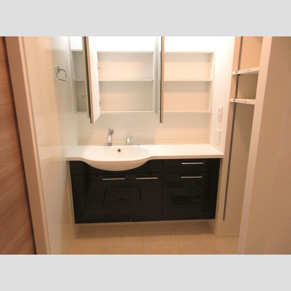 洗面所 (洗髪洗面化粧台)