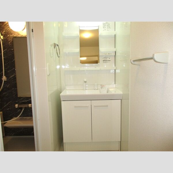 洗面所 (洗髪洗面化粧台)