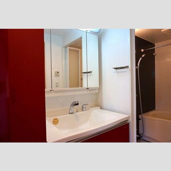 洗面所 (洗髪洗面化粧台)