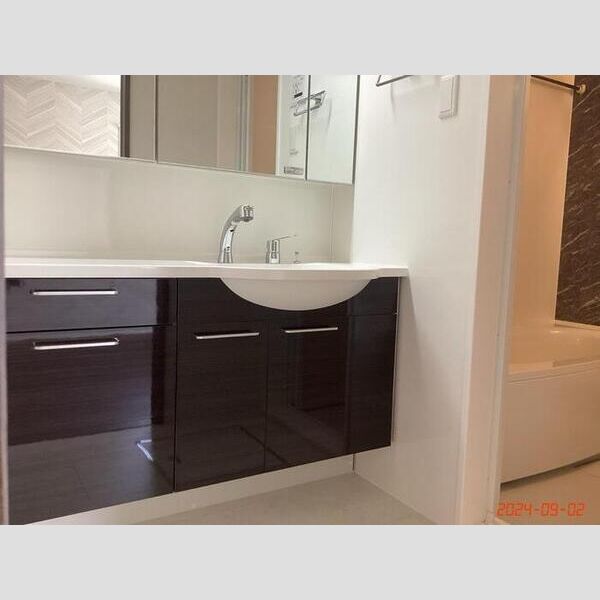 洗面所 (洗髪洗面化粧台)