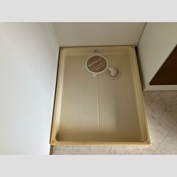 その他 (室内洗濯機置き場)