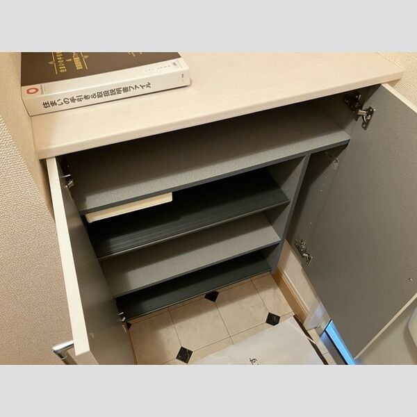 その他 (シューズボックス(カウンタータイプ))