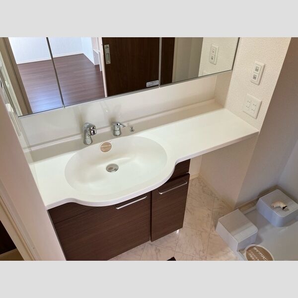 洗面所 (洗髪洗面化粧台)