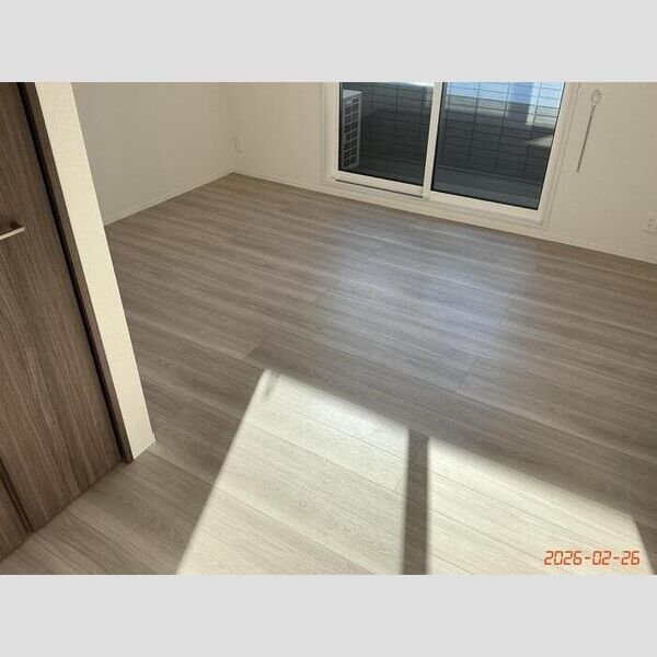 その他 (南西洋室)