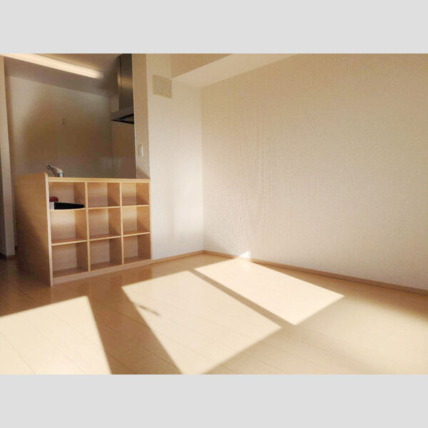その他 (DK)