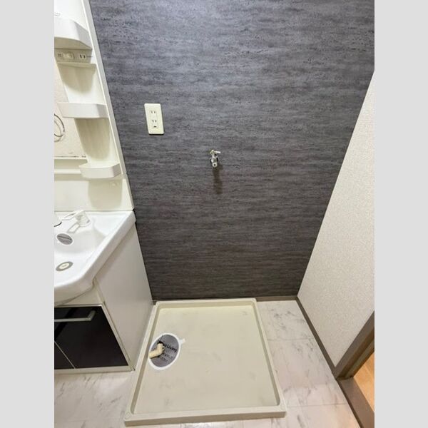 洗面所 (室内洗濯機置場)