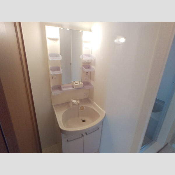 洗面所 (洗髪洗面化粧台)