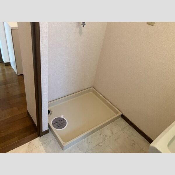 その他 (室内洗濯機置き場)