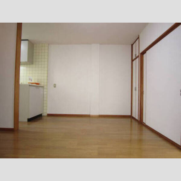 その他 (DK)