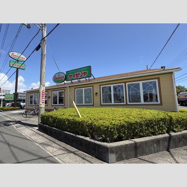 現地周辺 (サイゼリヤ浜松渡瀬店(571m))
