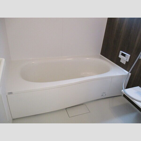 バス