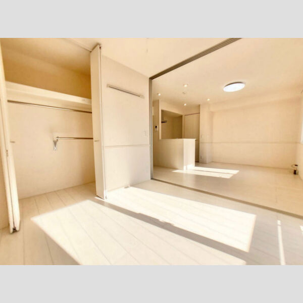 その他 (南西洋室)