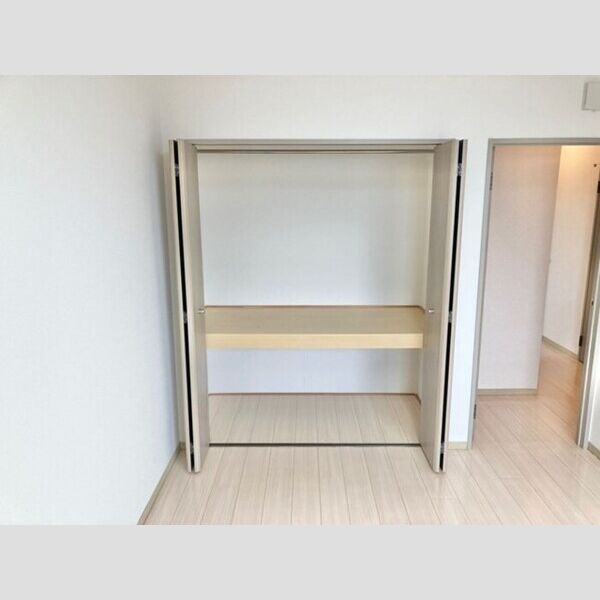 収納 (北側洋室物入)