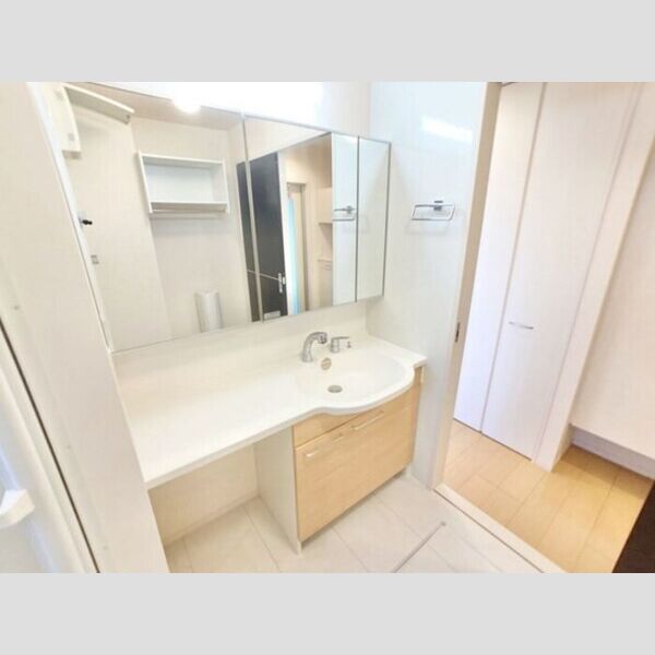 洗面所 (洗髪洗面化粧台(三面鏡全収納付き))