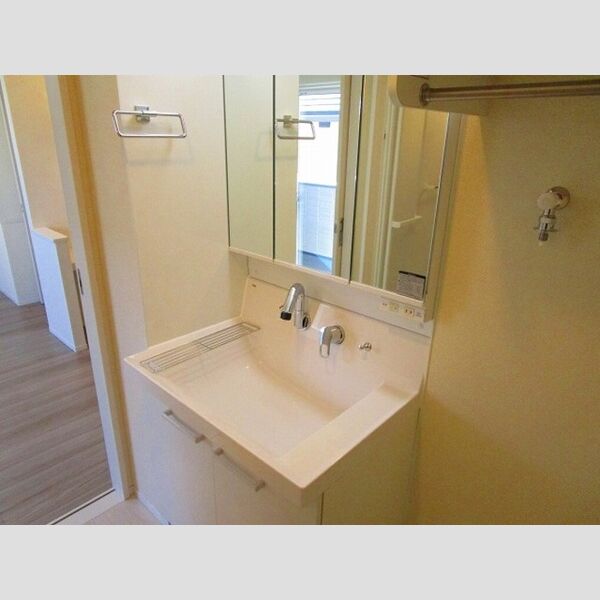 洗面所 (洗髪洗面化粧台)