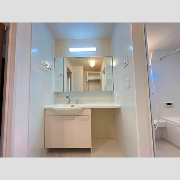 洗面所 (洗髪洗面化粧台)