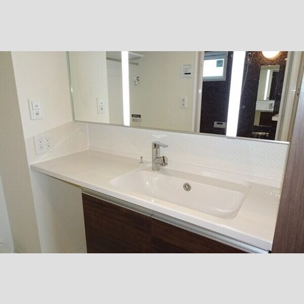 洗面所 (洗髪洗面化粧台　ツイン照明付き)