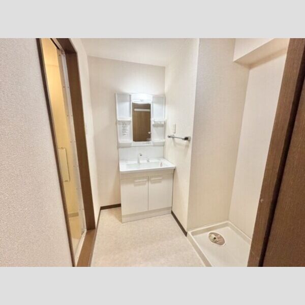 洗面所 (洗髪洗面化粧台)